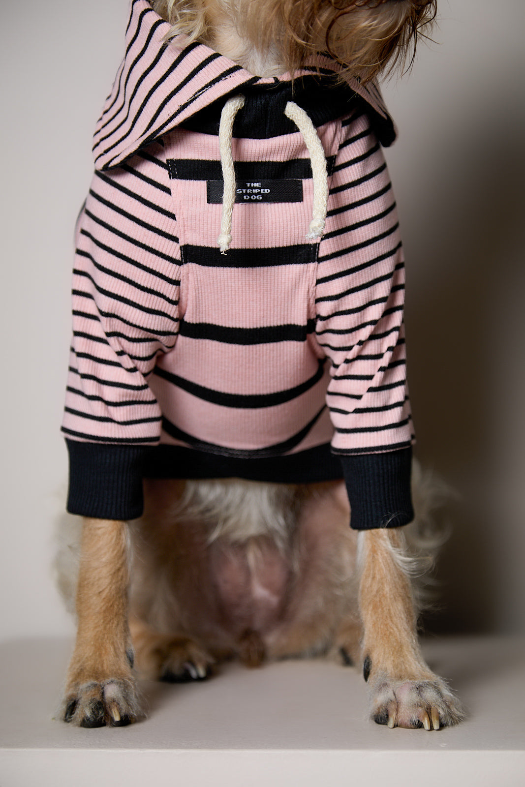 Sueter de Rayas Rosado y Negro LINE para Perro Standard