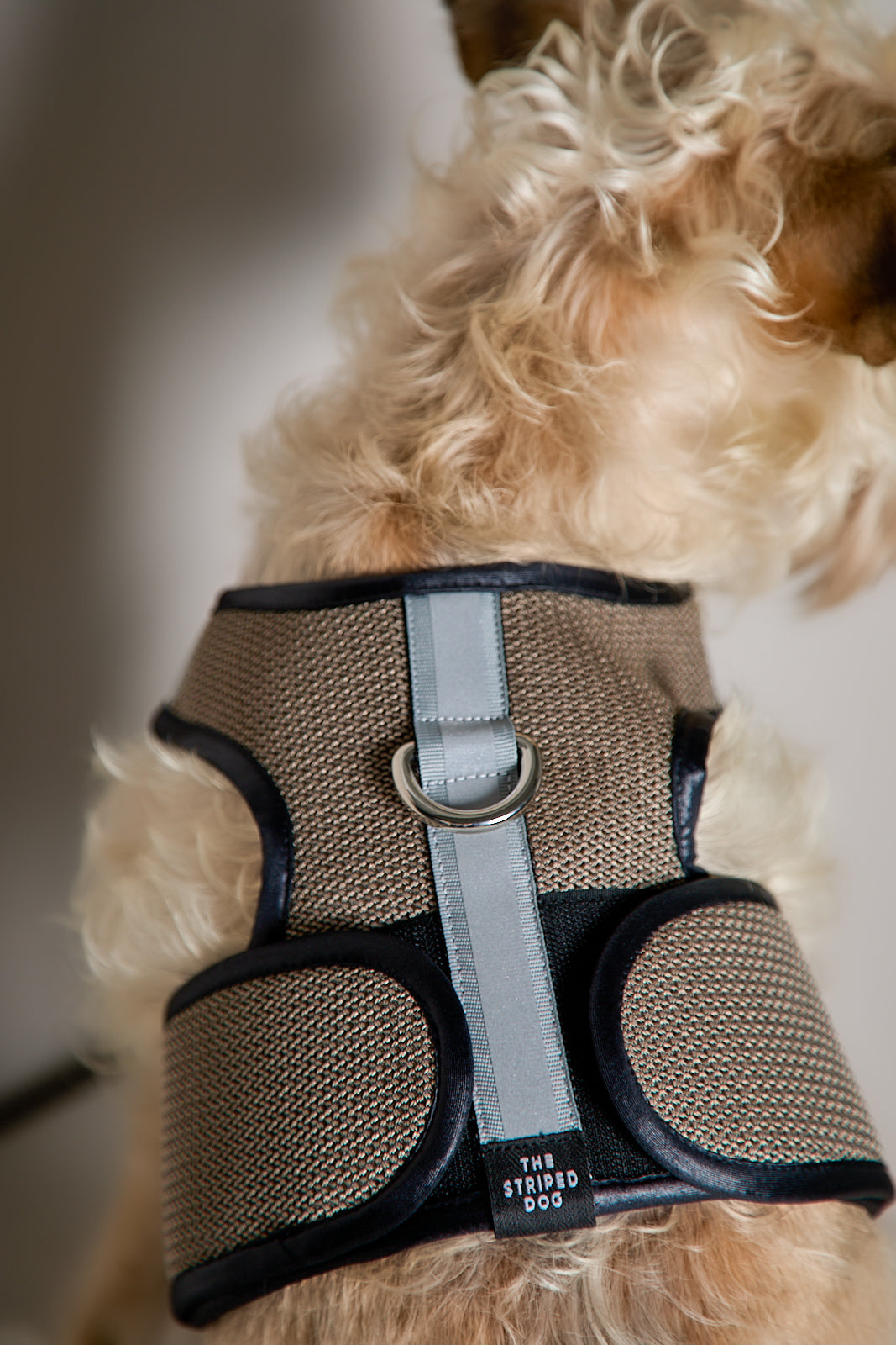 Arnes de Malla Tabaco COBBLESTONE para Perro Standard