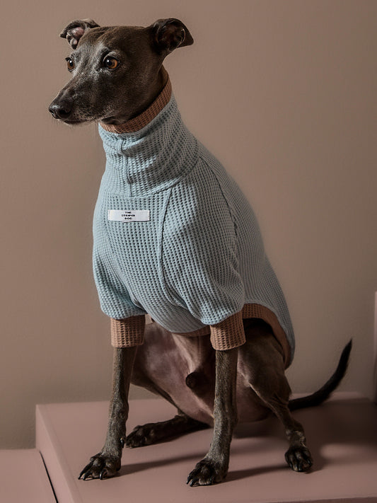 Sueter Waffle Azul GRAIN para Galgo Italiano / Whippet