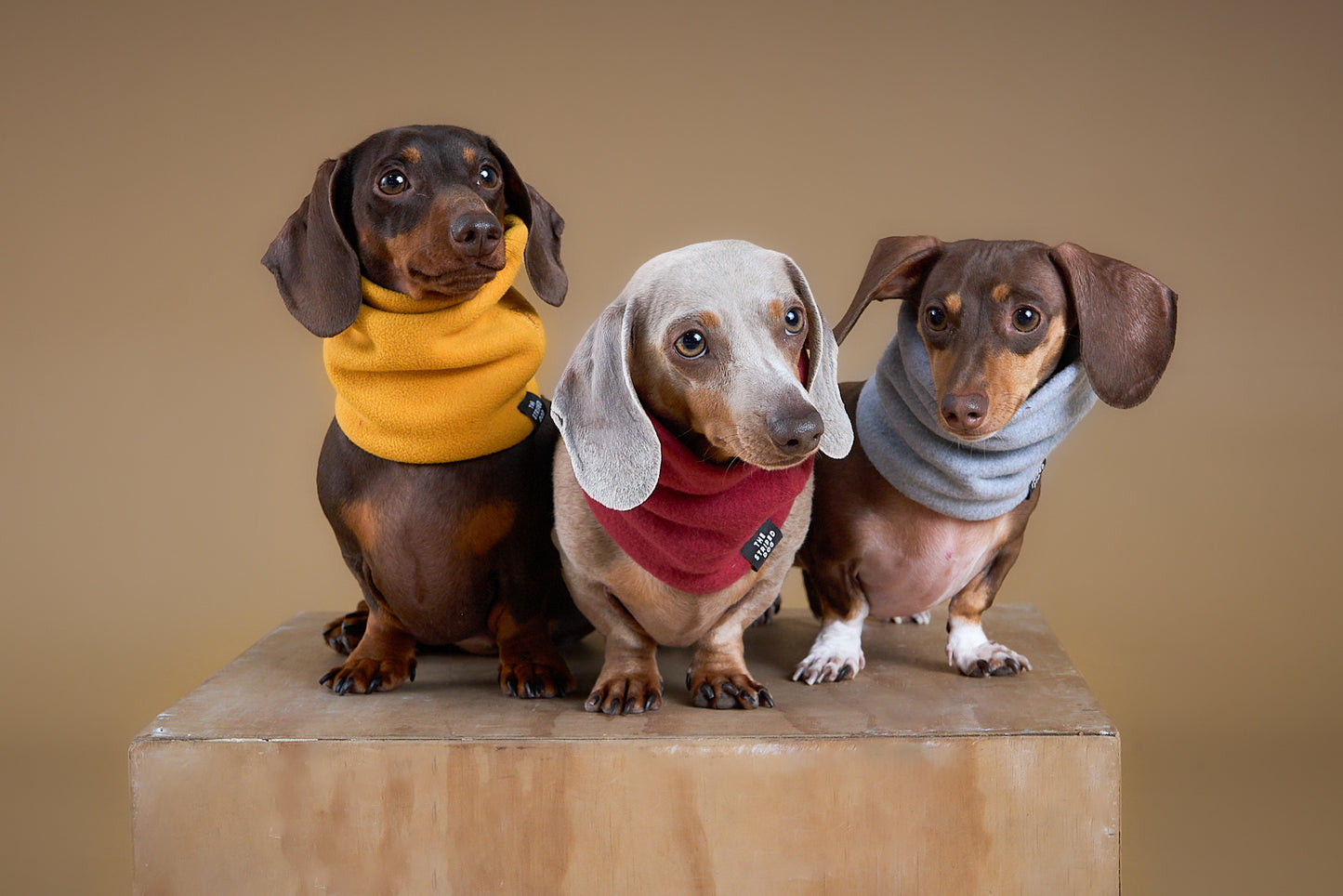 Cuello Gris Claro en Fleece CHILL