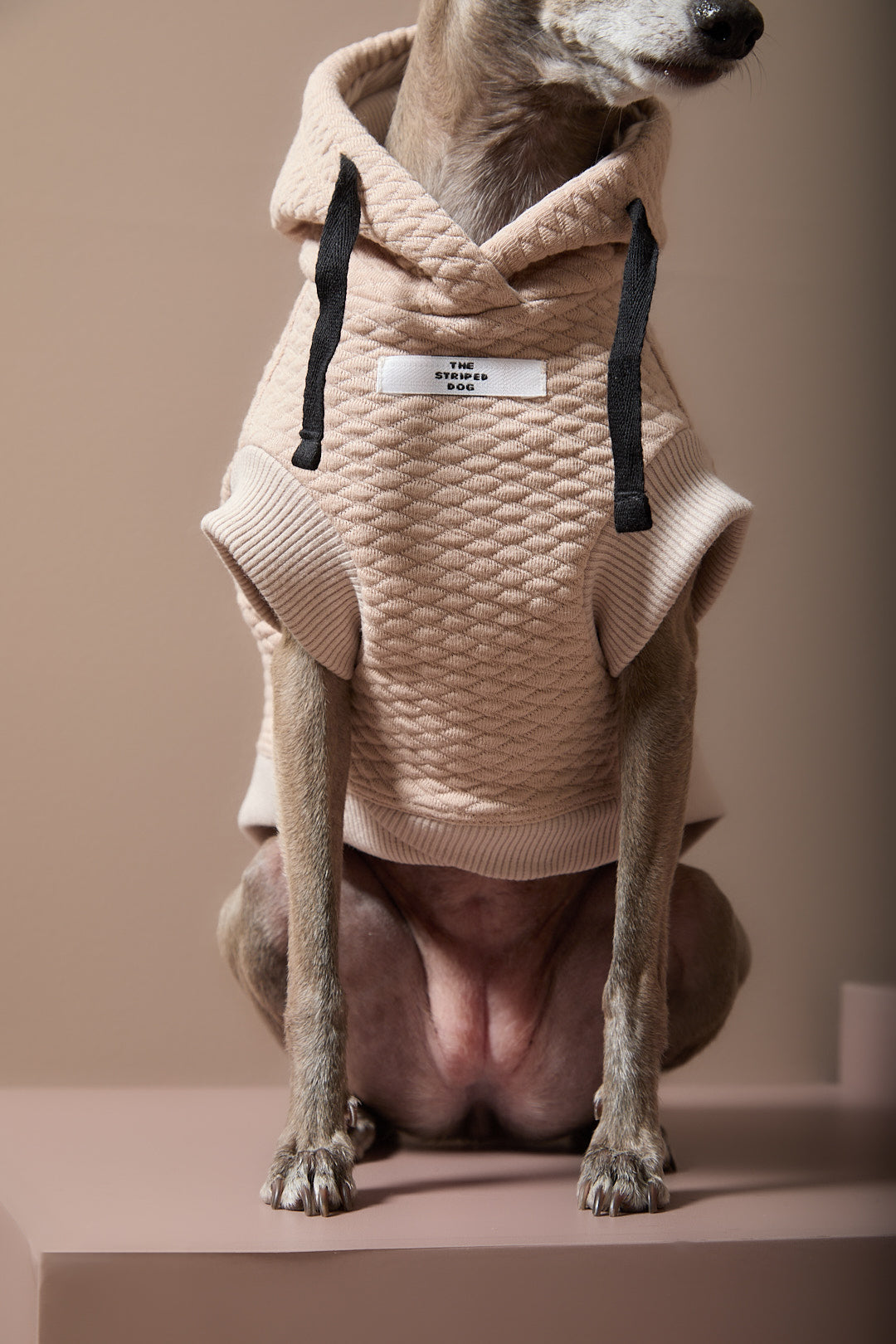 Chaleco Arena Texturizado con Capucha Galgo Italiano / Whippet BIRCH