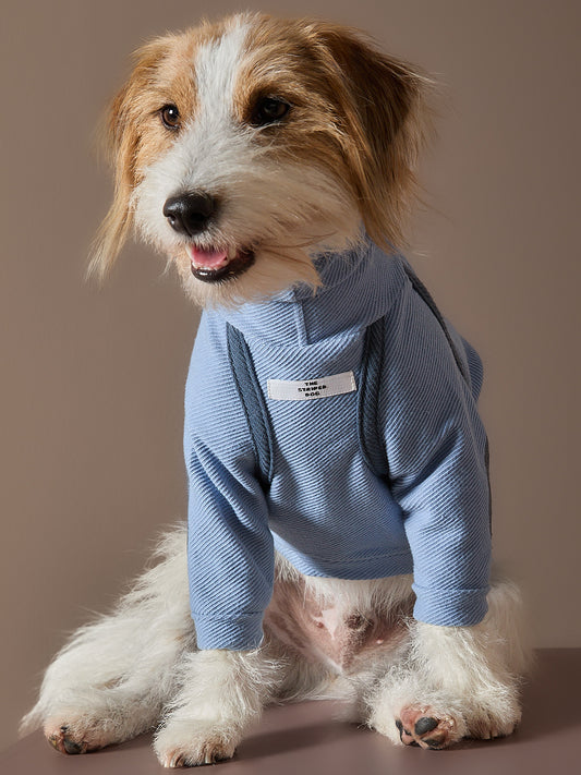 Sueter Azul Claro Cuello Tortuga CAIRO