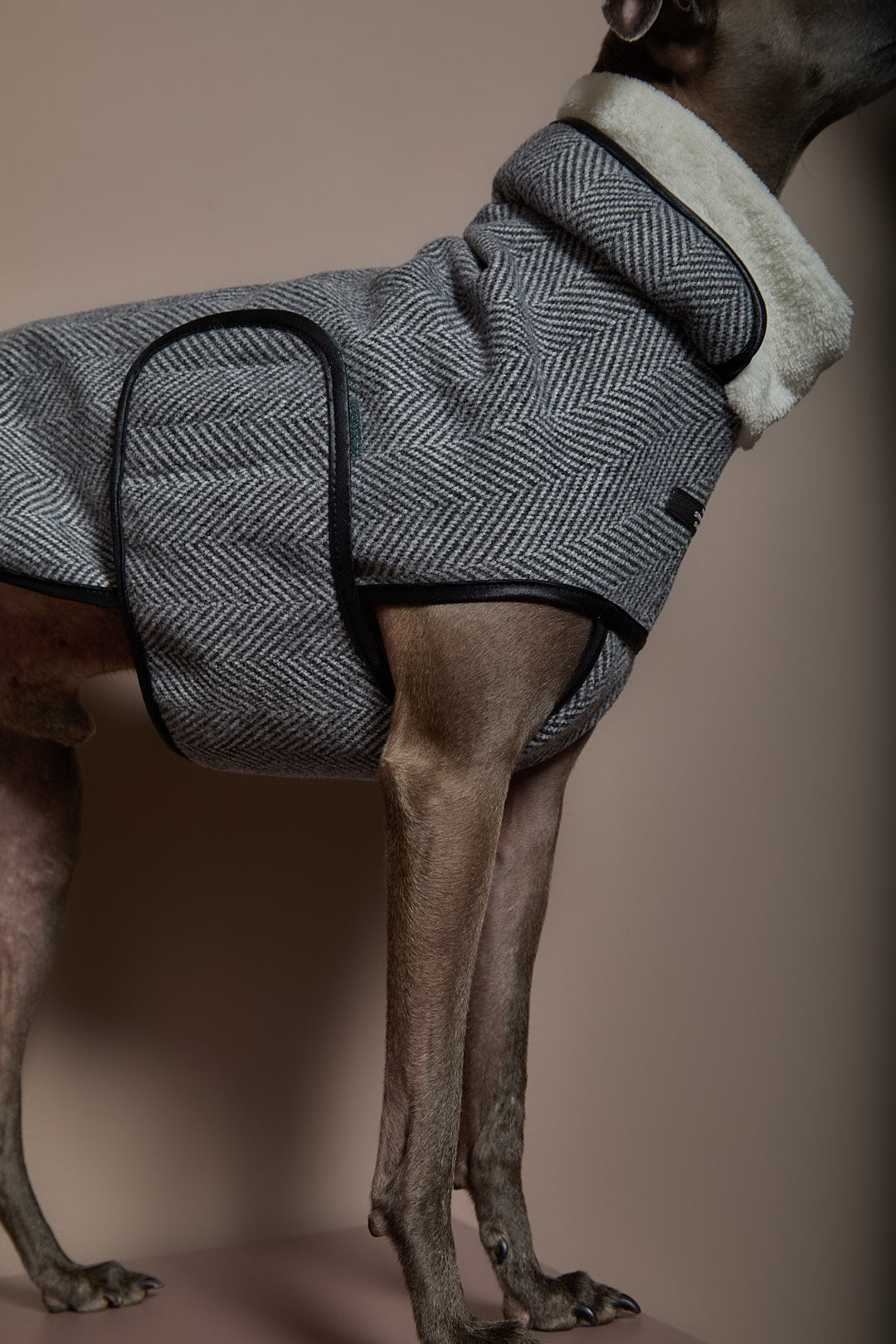 Chaqueta Gris en Espina de Pescado Galgo Italiano / Whippet TWILL