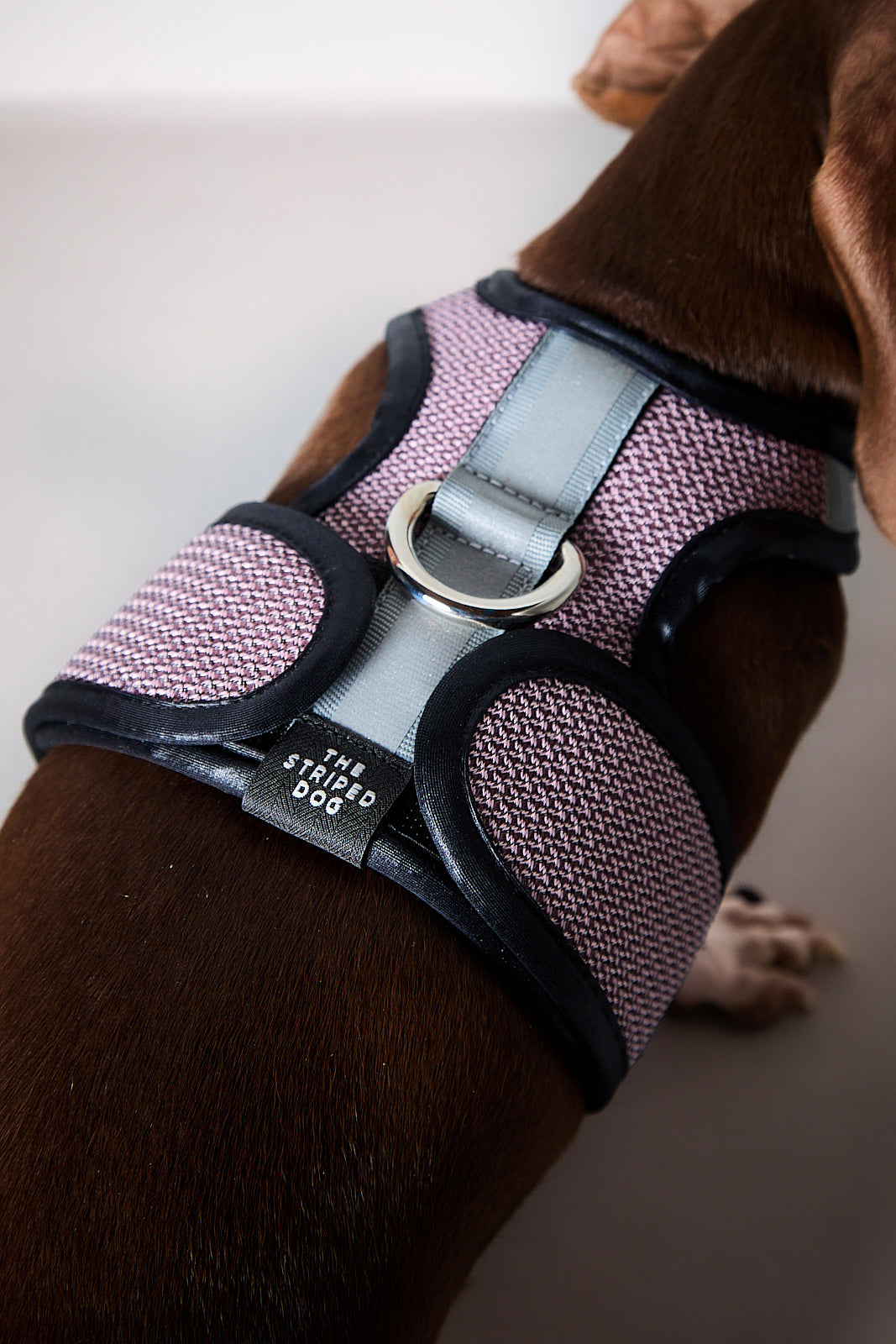 Arnes de Malla Rosado COBBLESTONE para Perro Salchicha