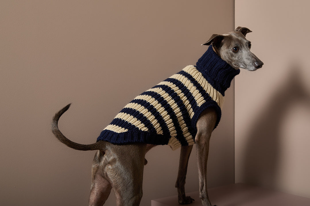 Sueter Tejido a Rayas Galgo Italiano / Whippet KYRA