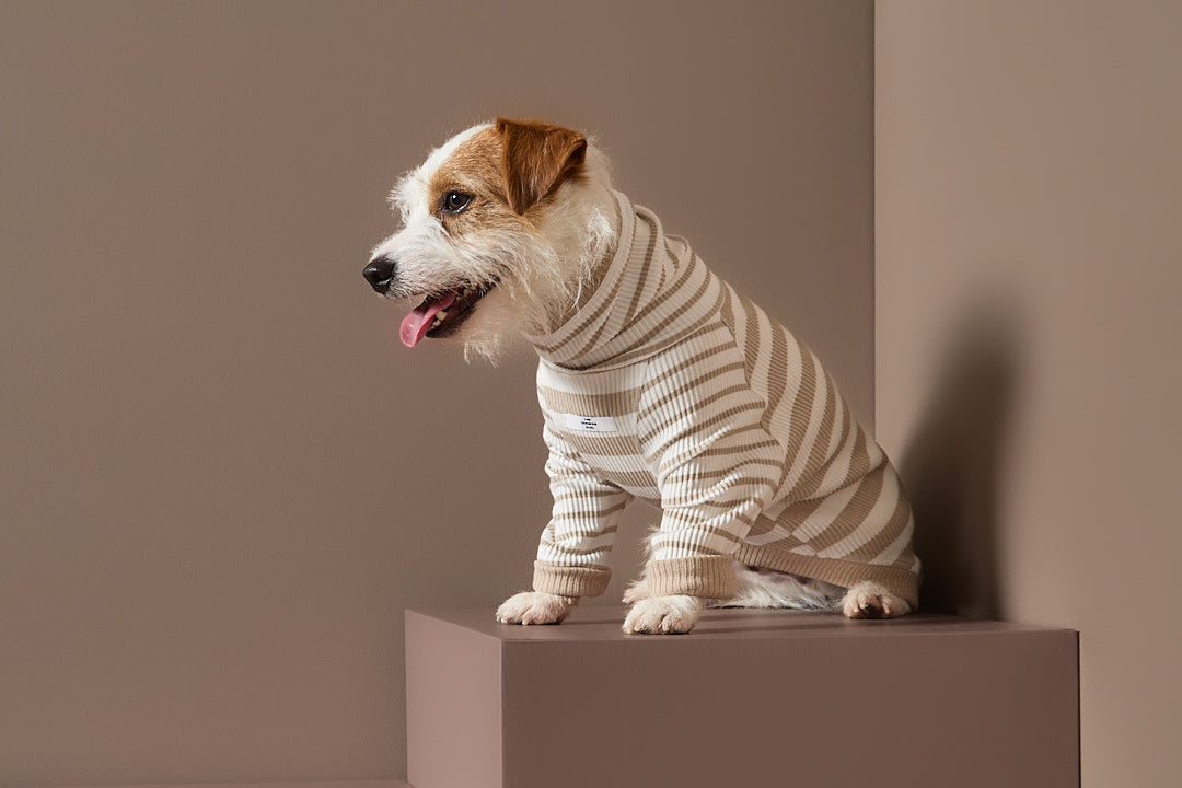 Sueter Rayas Arena y Crema Cuello Tortuga REED