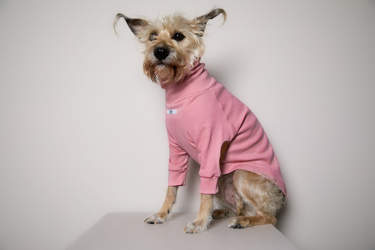 Sueter de Rib Cuello Tortuga Rosado y Parches MIST para Perro Standard