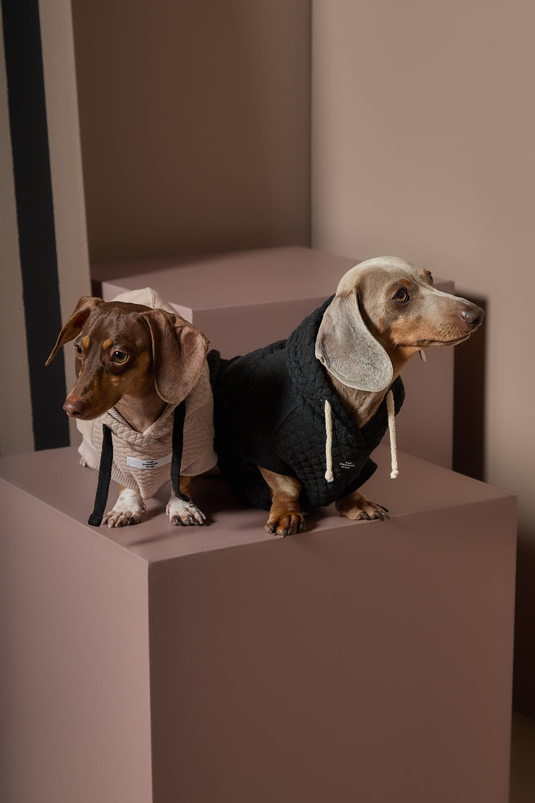 Chaleco Arena Texturizado con Capucha Salchicha BIRCH