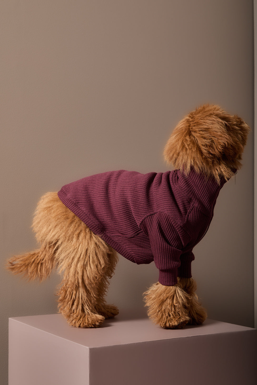 Sueter Vinotinto con Cierre KNIT