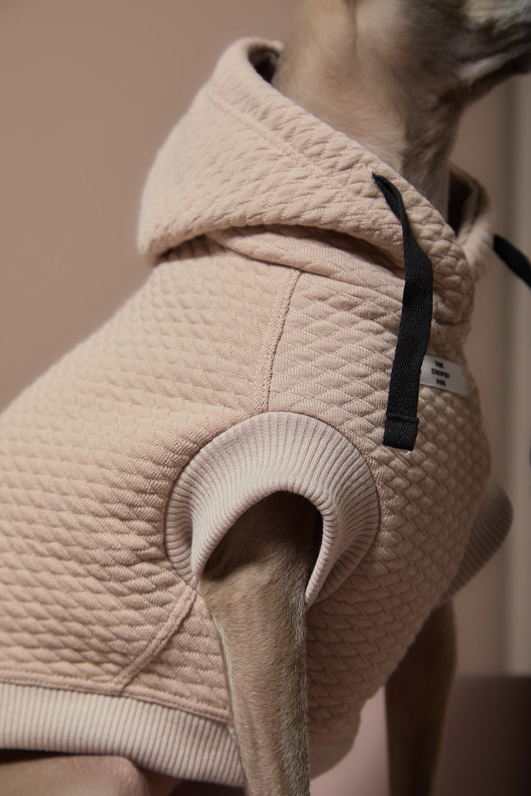 Chaleco Arena Texturizado con Capucha Galgo Italiano / Whippet BIRCH