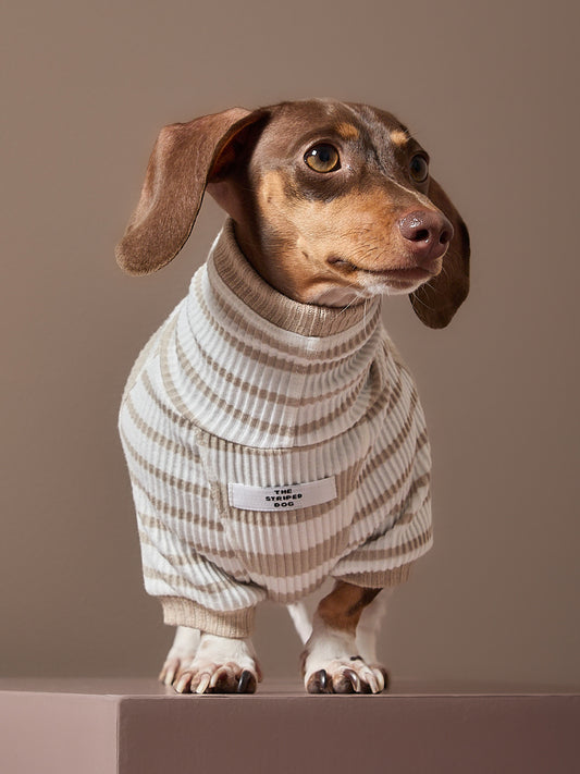 Sueter Rayas Arena y Crema Cuello Tortuga Salchicha REED