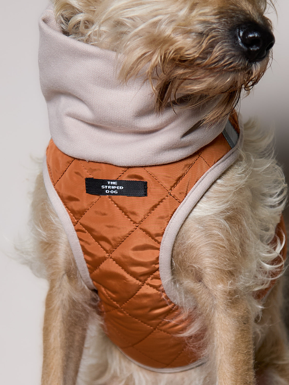 Arnes Cuello Tortuga Terracota GADE para Perro Standard