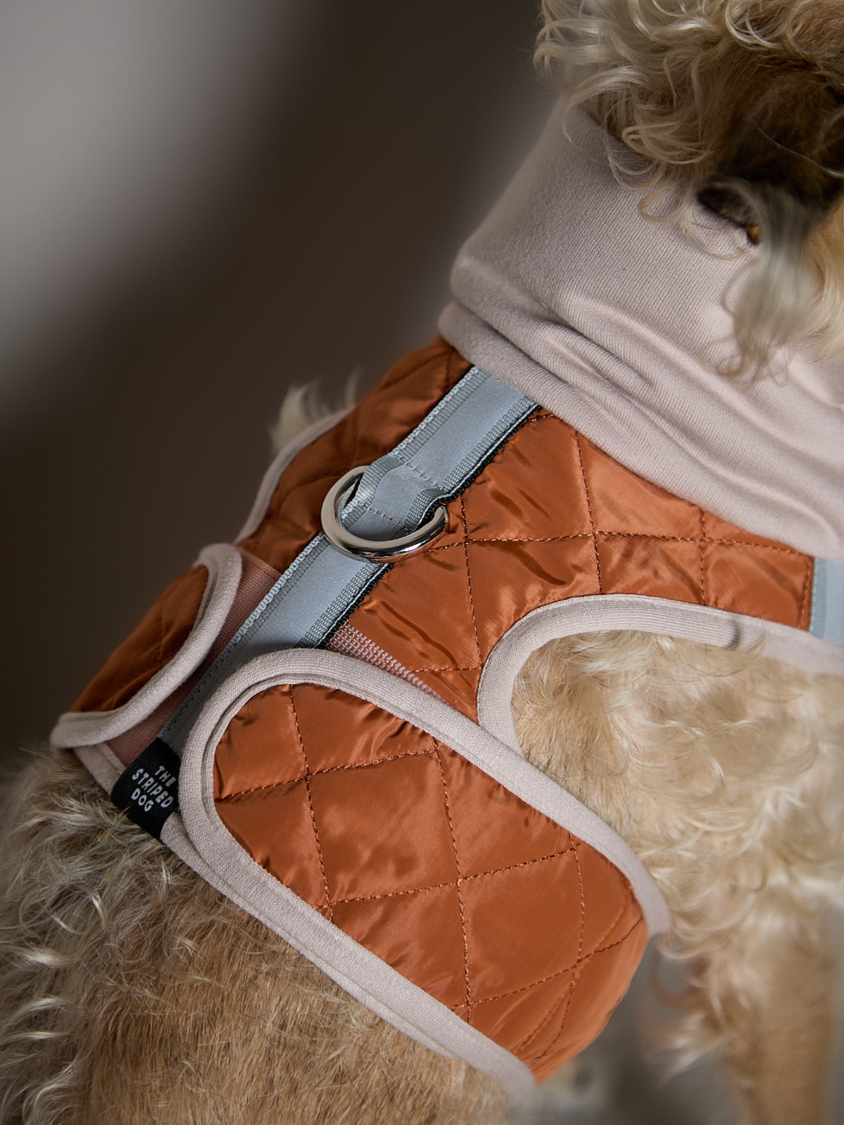 Arnes Cuello Tortuga Terracota GADE para Perro Standard