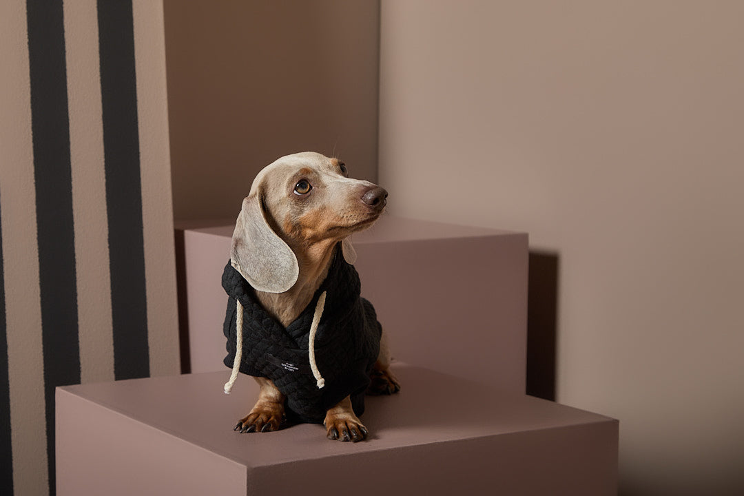 Chaleco Negro Texturizado con Capucha Salchicha BIRCH