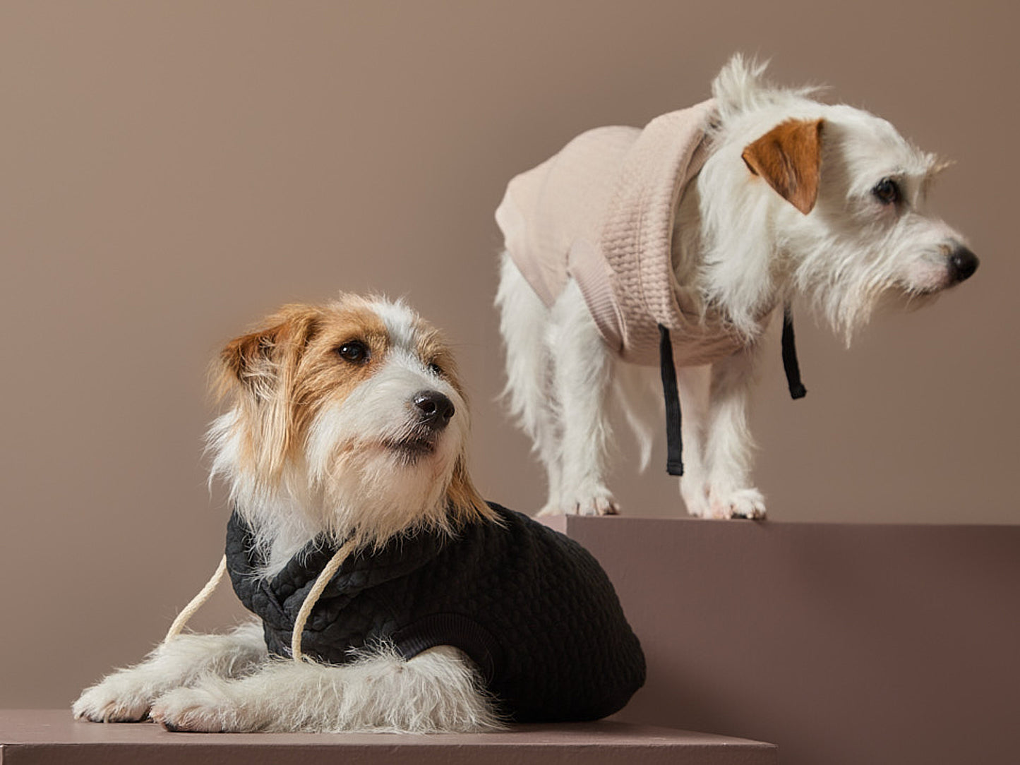 Chaleco Negro Texturizado con Capucha BIRCH