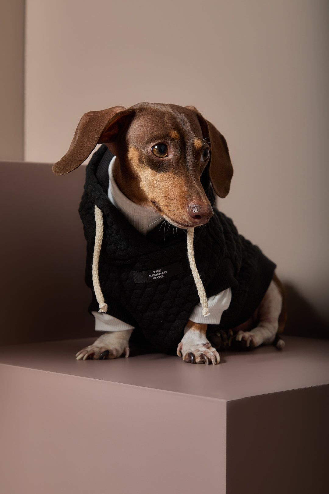 Chaleco Negro Texturizado con Capucha Salchicha BIRCH