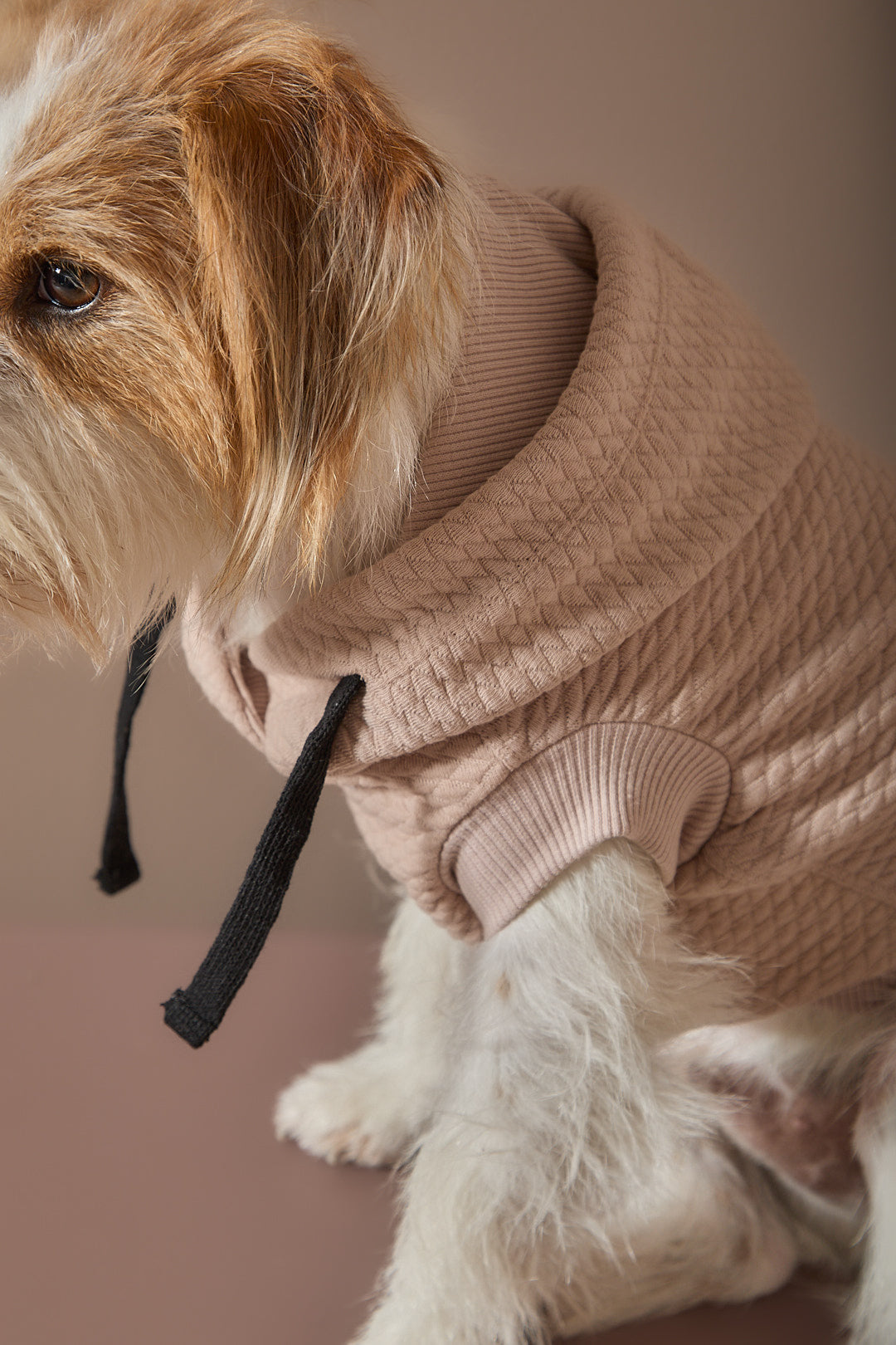 Chaleco Arena Texturizado con Capucha BIRCH