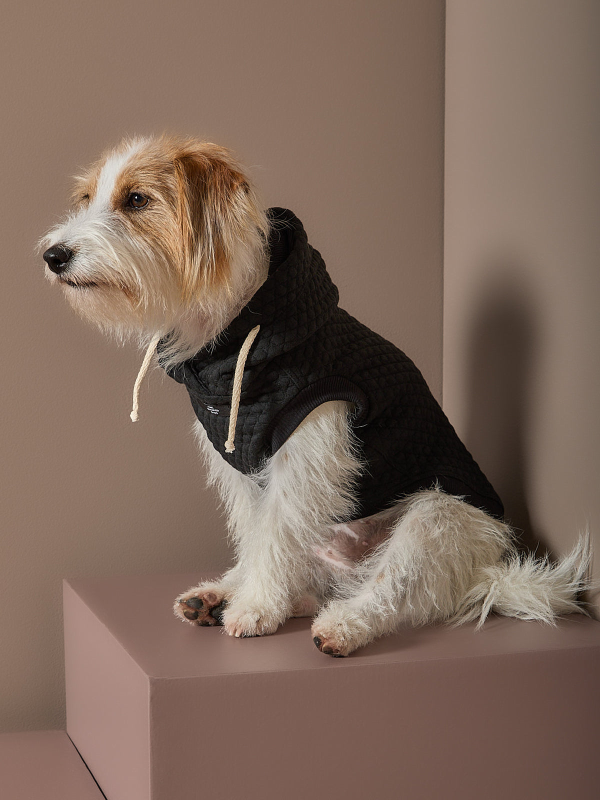 Chaleco Negro Texturizado con Capucha BIRCH