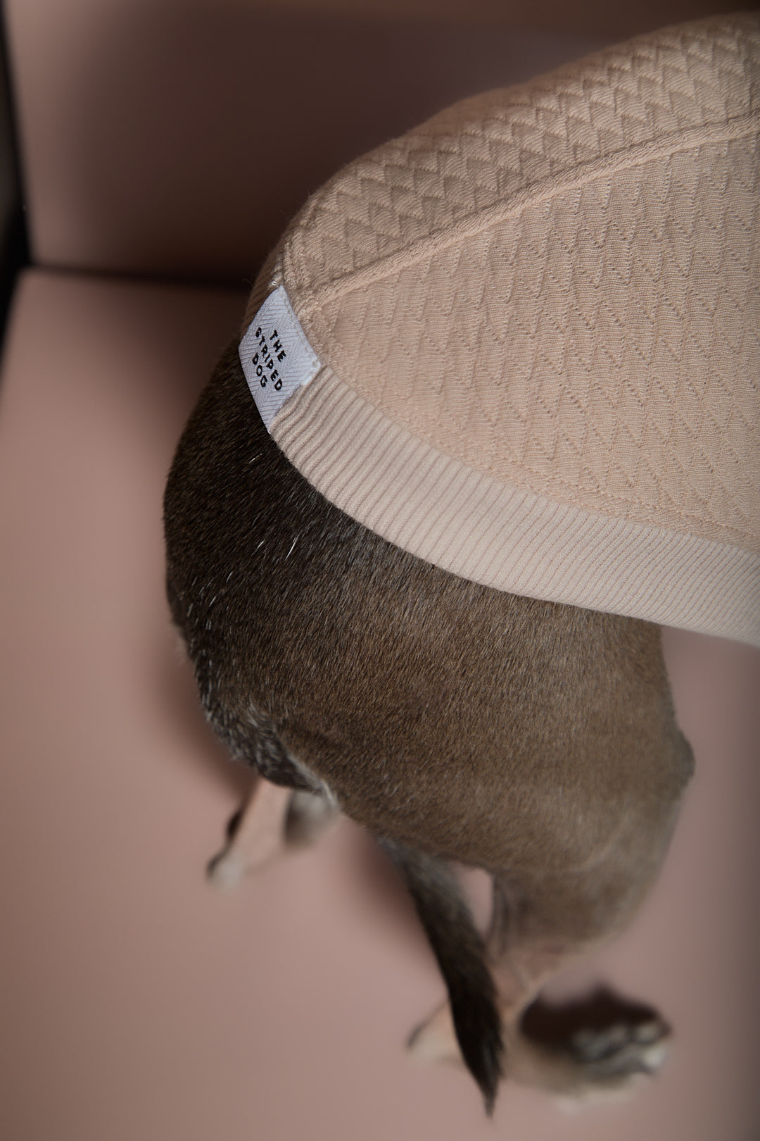 Chaleco Arena Texturizado con Capucha Salchicha BIRCH