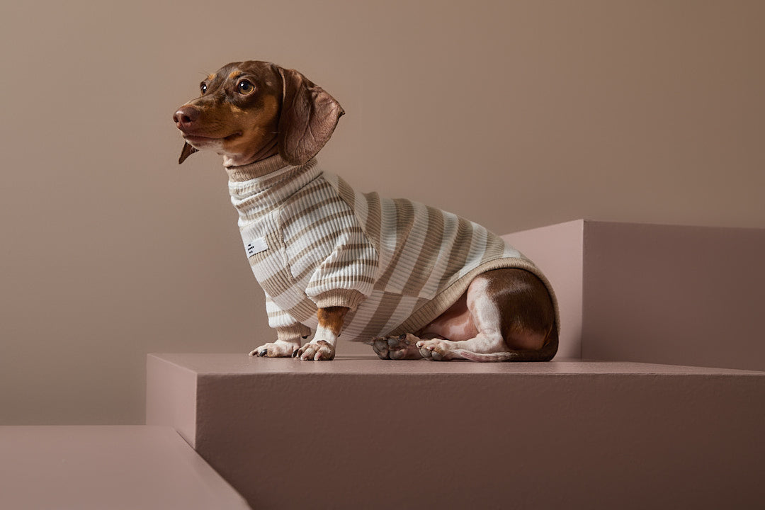 Sueter Rayas Arena y Crema Cuello Tortuga Salchicha REED