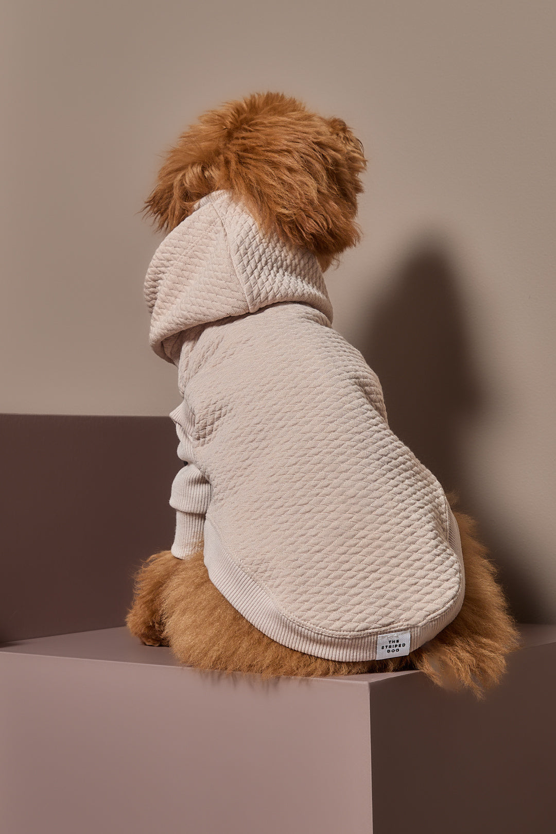 Chaleco Arena Texturizado con Capucha BIRCH