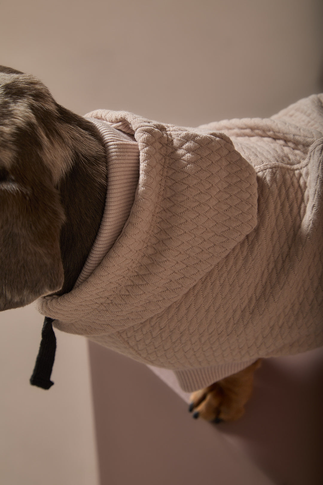 Chaleco Arena Texturizado con Capucha Salchicha BIRCH