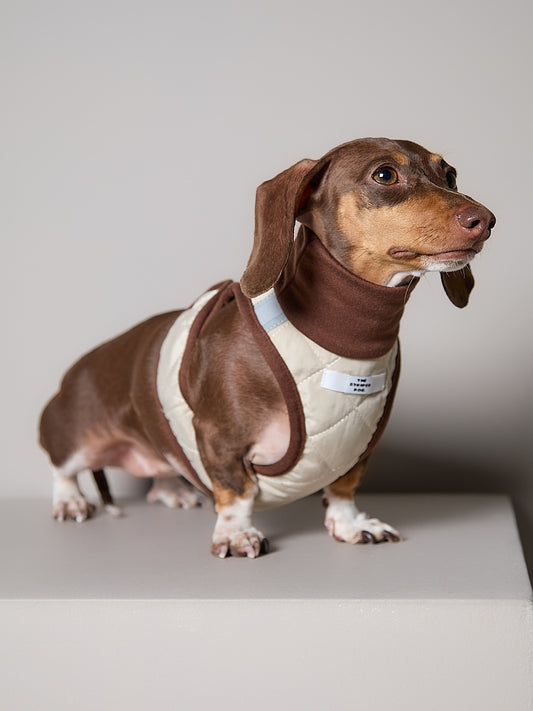 Arnes Cuello Tortuga Beige GADE para Perro Salchicha