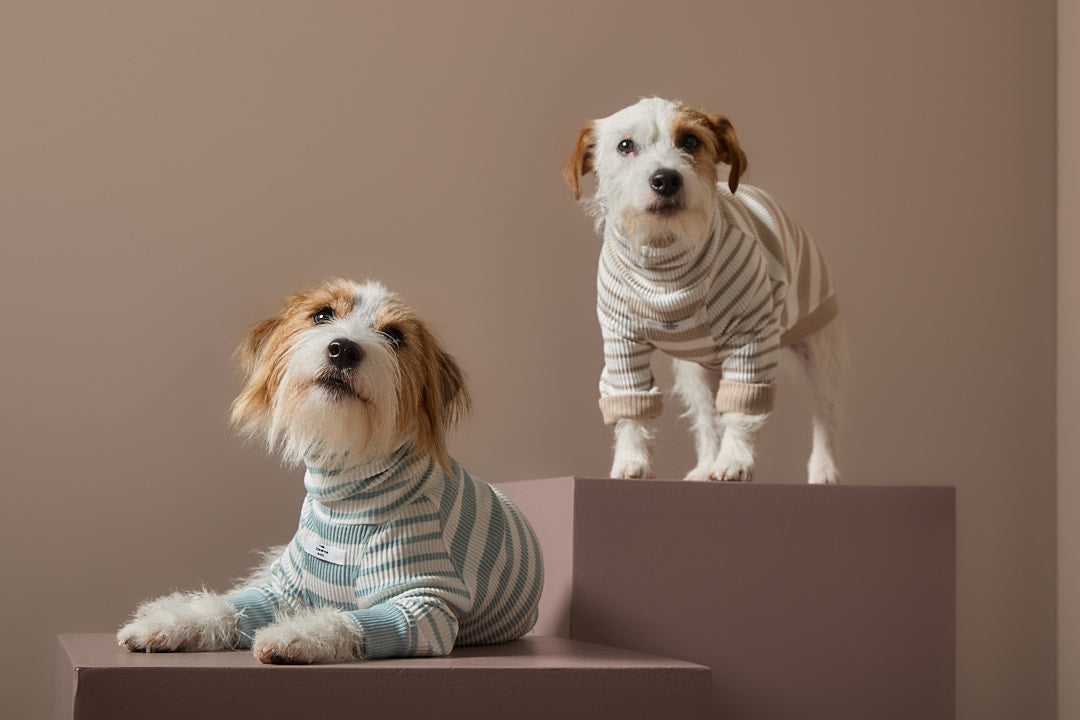 Sueter Rayas Turquesa y Crema Cuello Tortuga REED