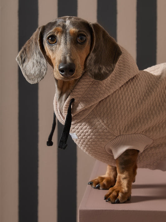 Chaleco Arena Texturizado con Capucha Salchicha BIRCH