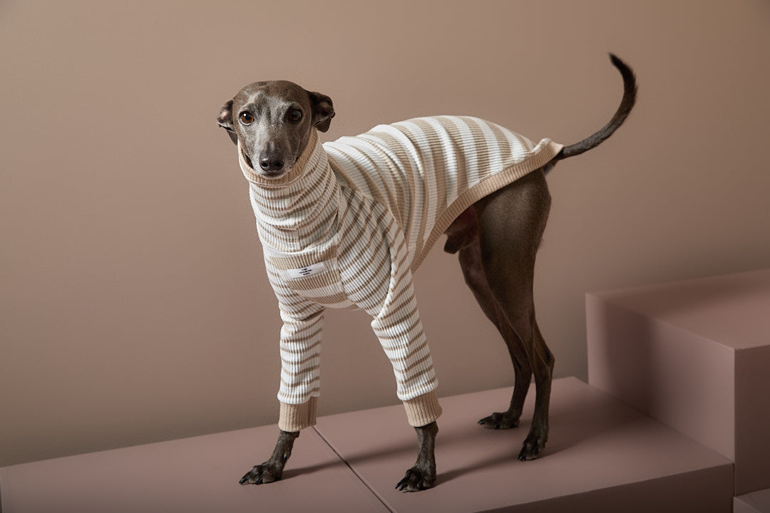 Sueter Rayas Arena y Crema Cuello Tortuga Galgo Italiano / Whippet REED