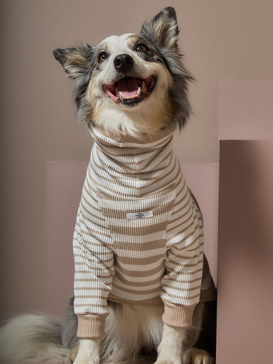 Sueter Rayas Arena y Crema Cuello Tortuga REED