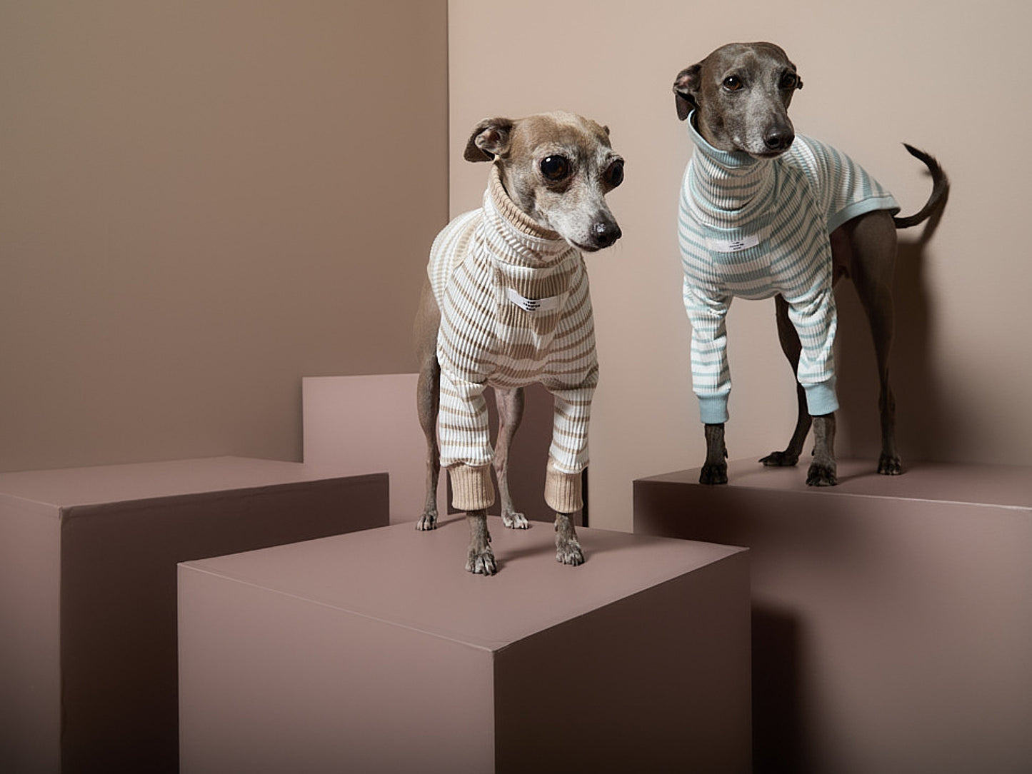 Sueter Rayas Arena y Crema Cuello Tortuga Galgo Italiano / Whippet REED