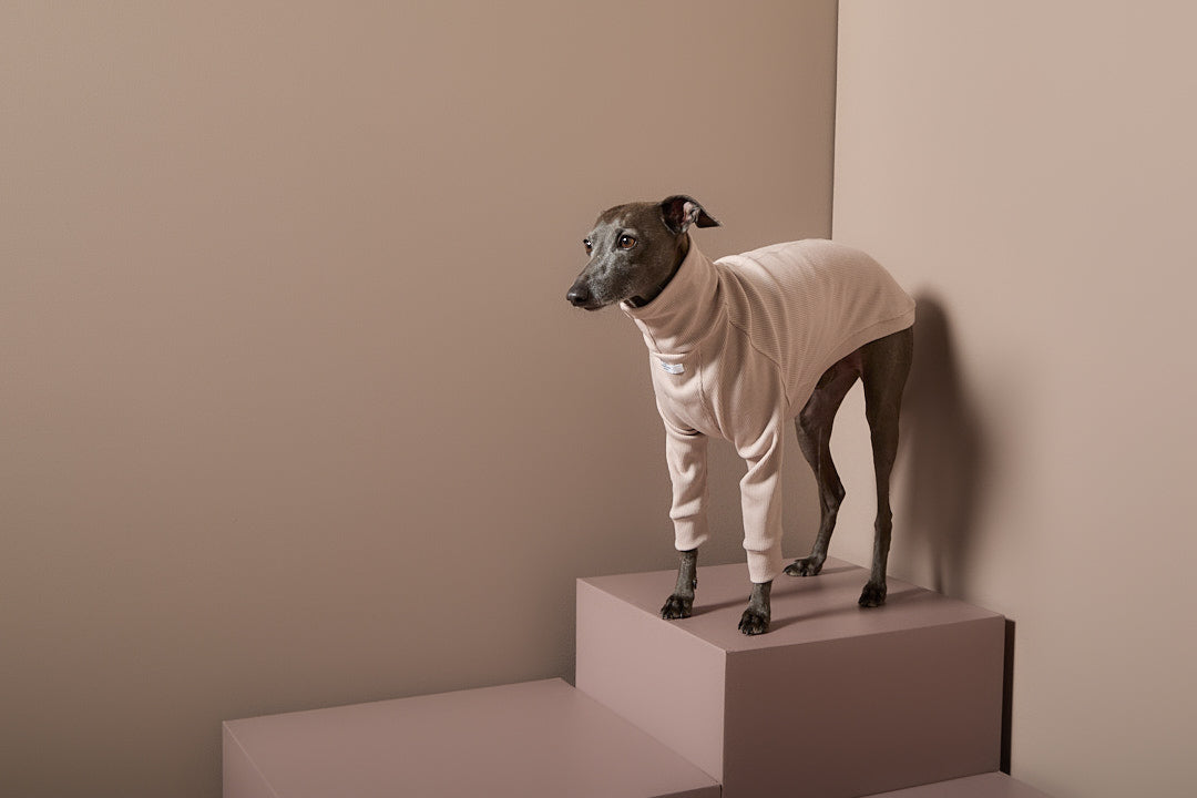 Sueter Arena Cuello Tortuga Galgo Italiano / Whippet COVE