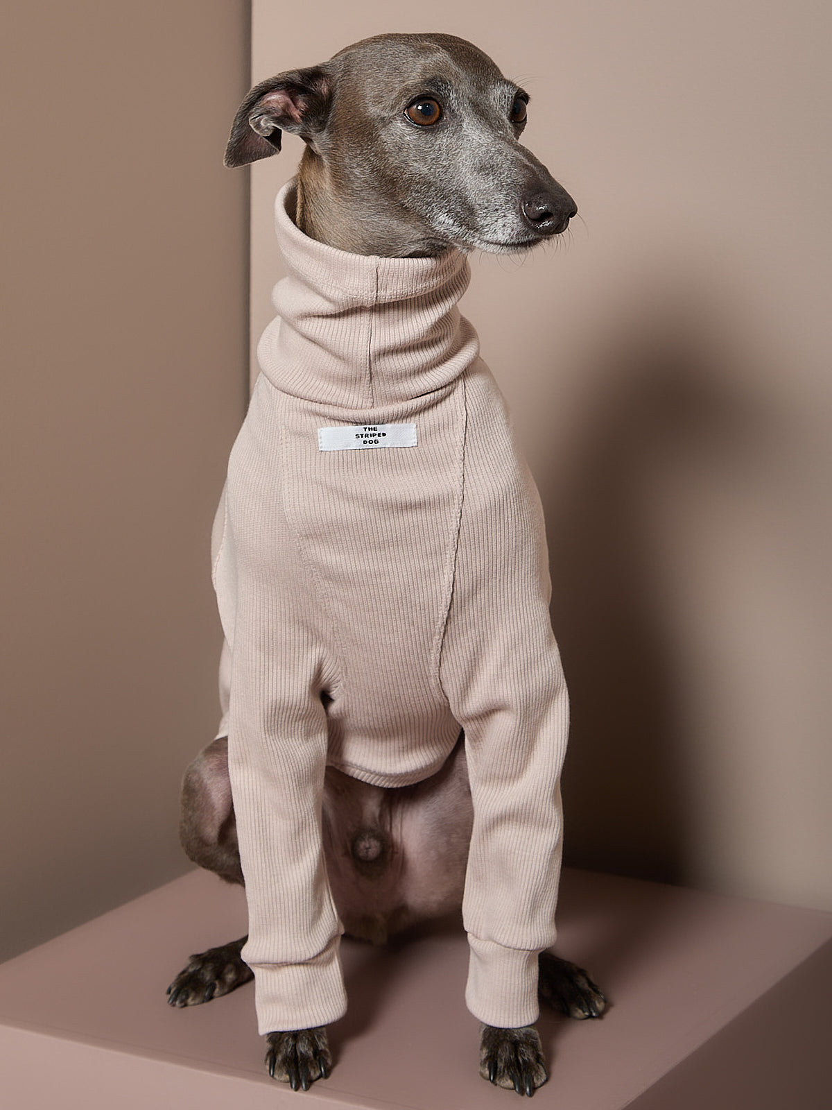 Sueter Arena Cuello Tortuga Galgo Italiano / Whippet COVE