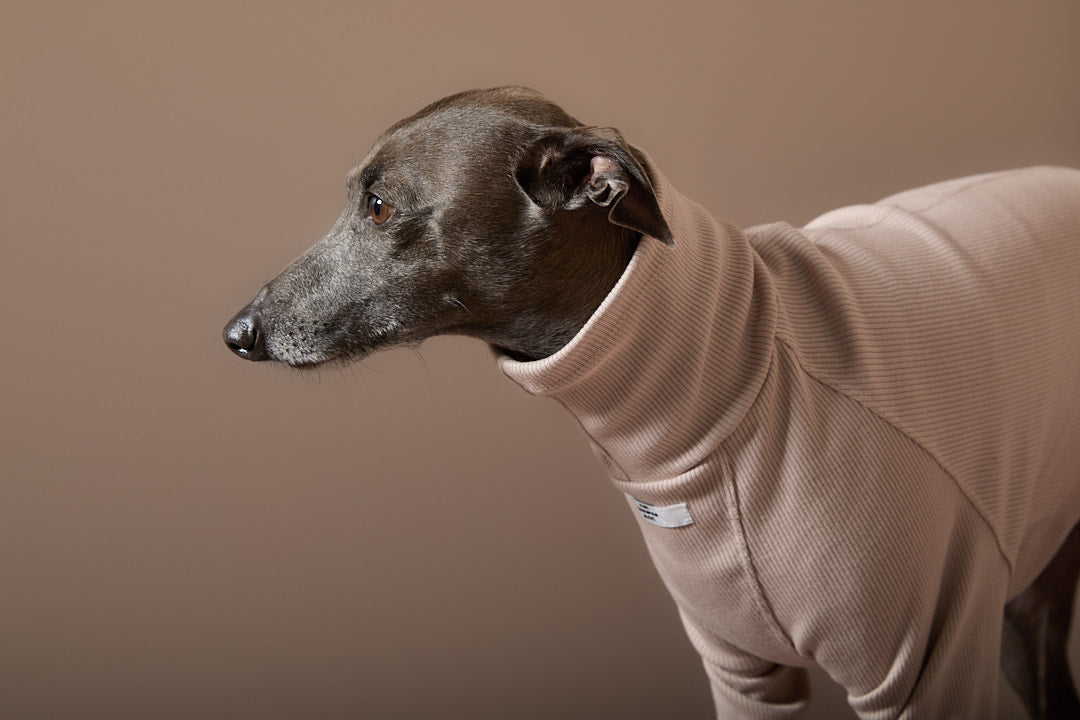 Sueter Arena Cuello Tortuga Galgo Italiano / Whippet COVE