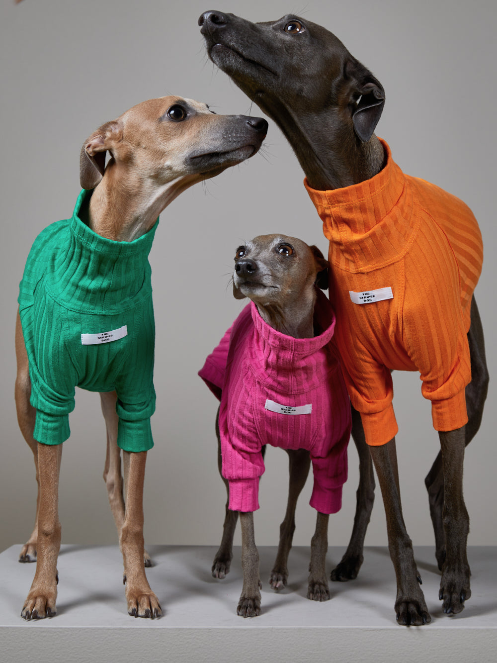 Sueter Naranja Cuello Tortuga en Rib - Galgo Italiano / Whippet PRISMA