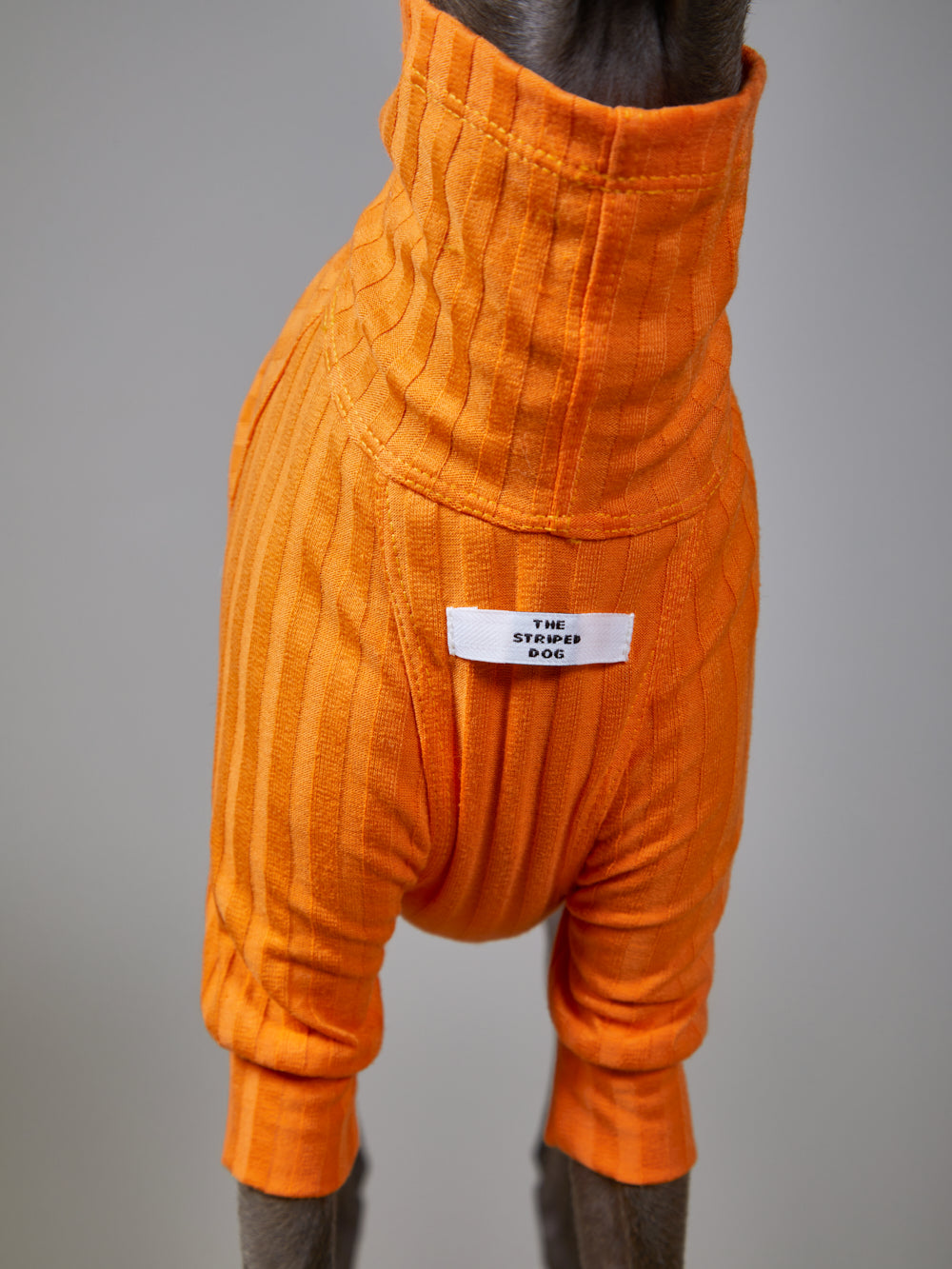 Sueter Naranja Cuello Tortuga en Rib - Galgo Italiano / Whippet PRISMA