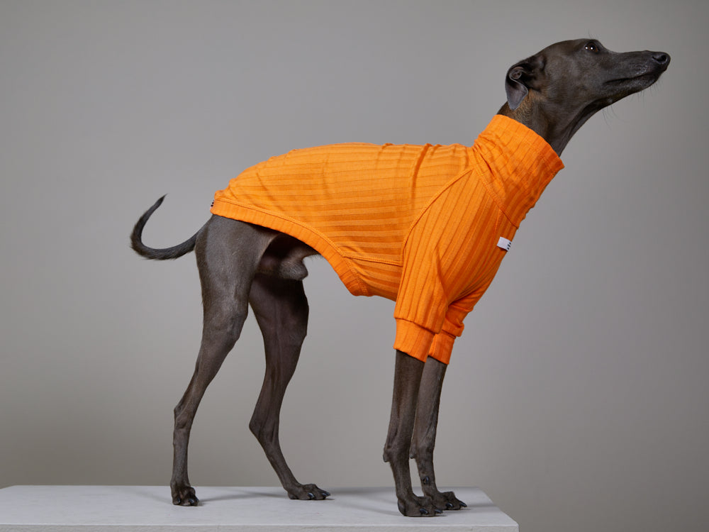 Sueter Naranja Cuello Tortuga en Rib - Galgo Italiano / Whippet PRISMA