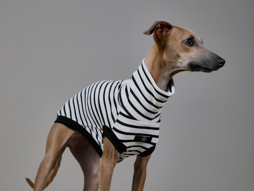 Chaleco Cuello Tortuga Rayas Blanco & Negro - Galgo Italiano / Whippet SHADE