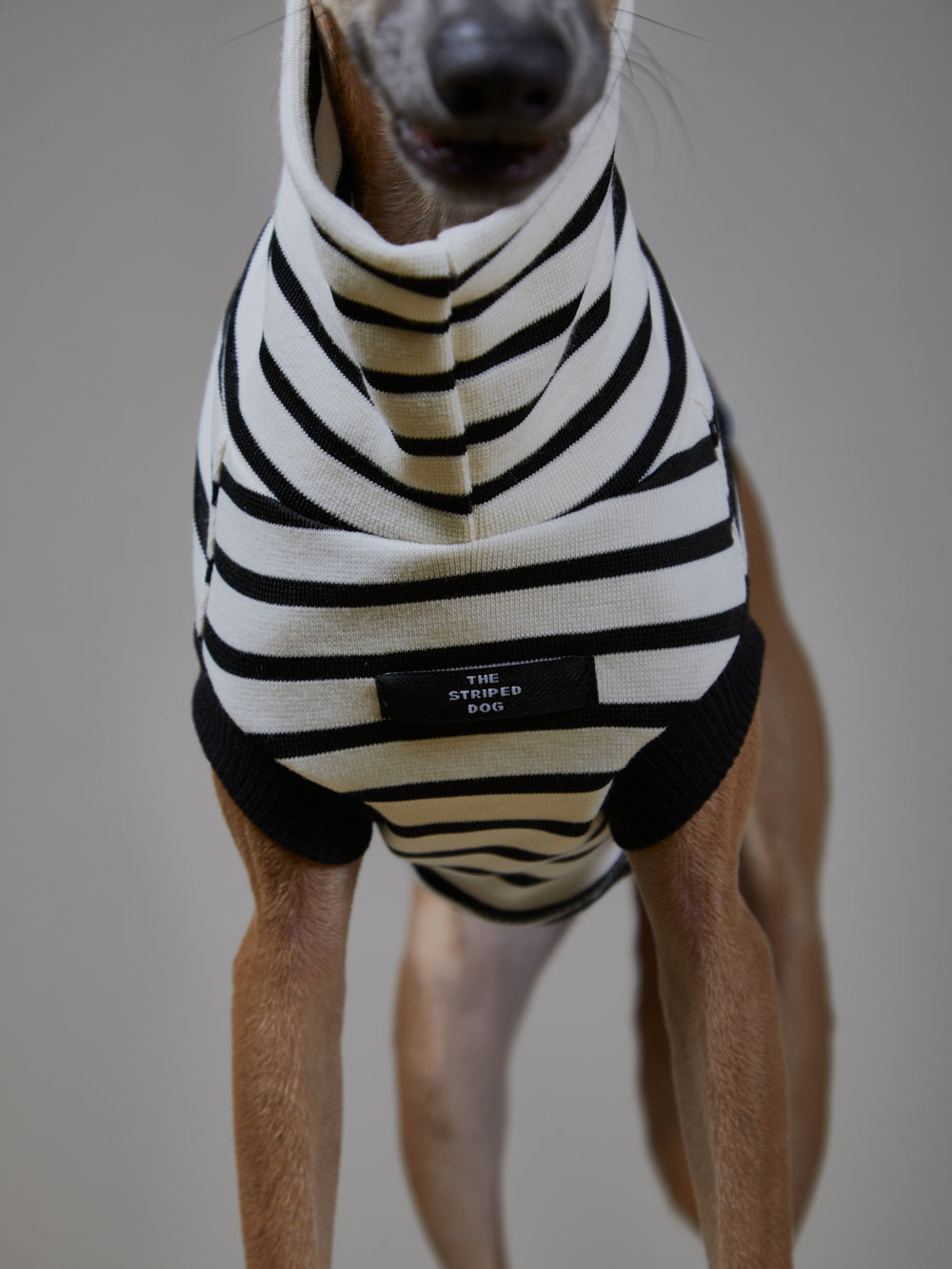 Chaleco Cuello Tortuga Rayas Blanco & Negro - Galgo Italiano / Whippet SHADE