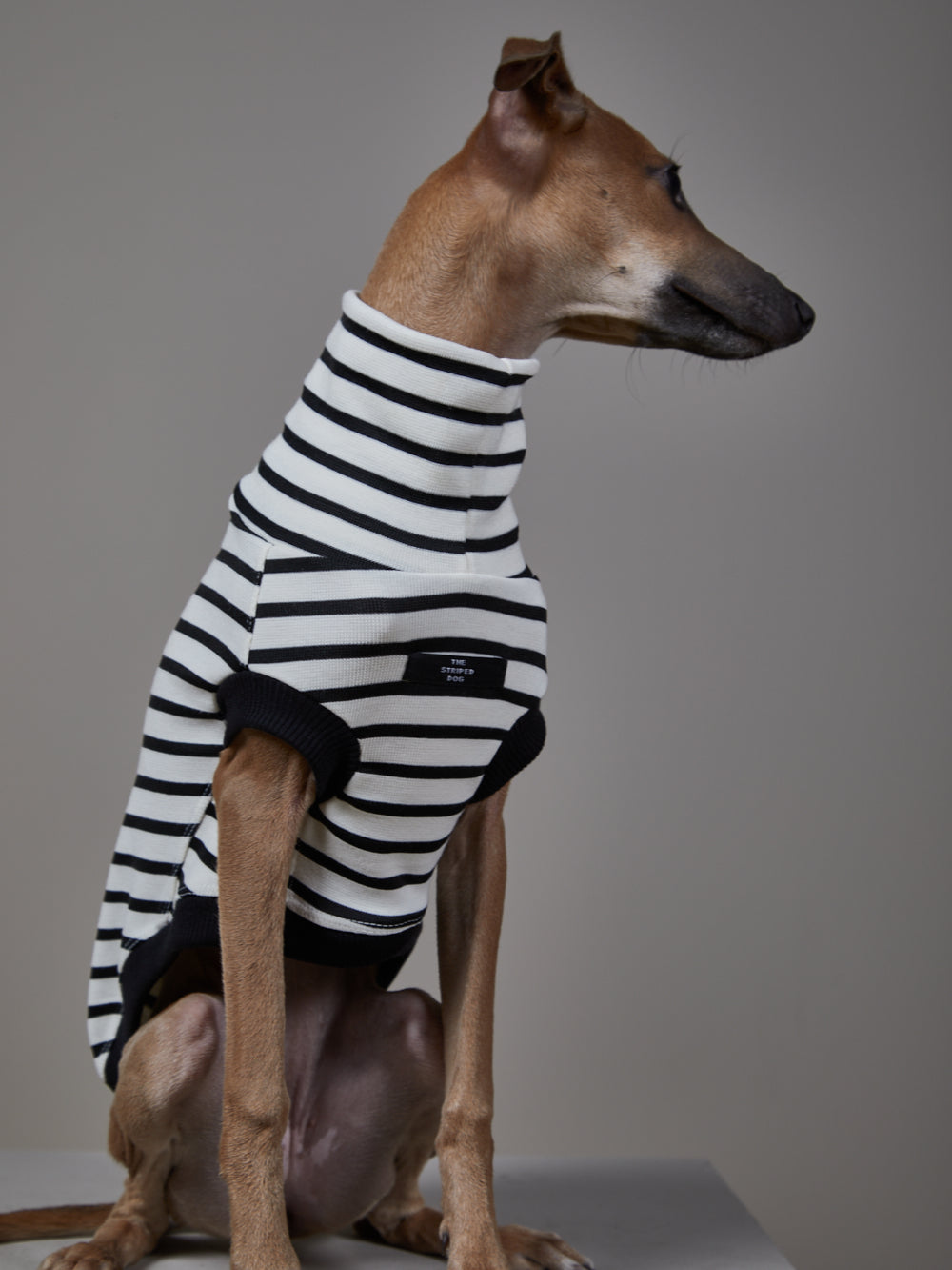 Chaleco Cuello Tortuga Rayas Blanco & Negro - Galgo Italiano / Whippet SHADE