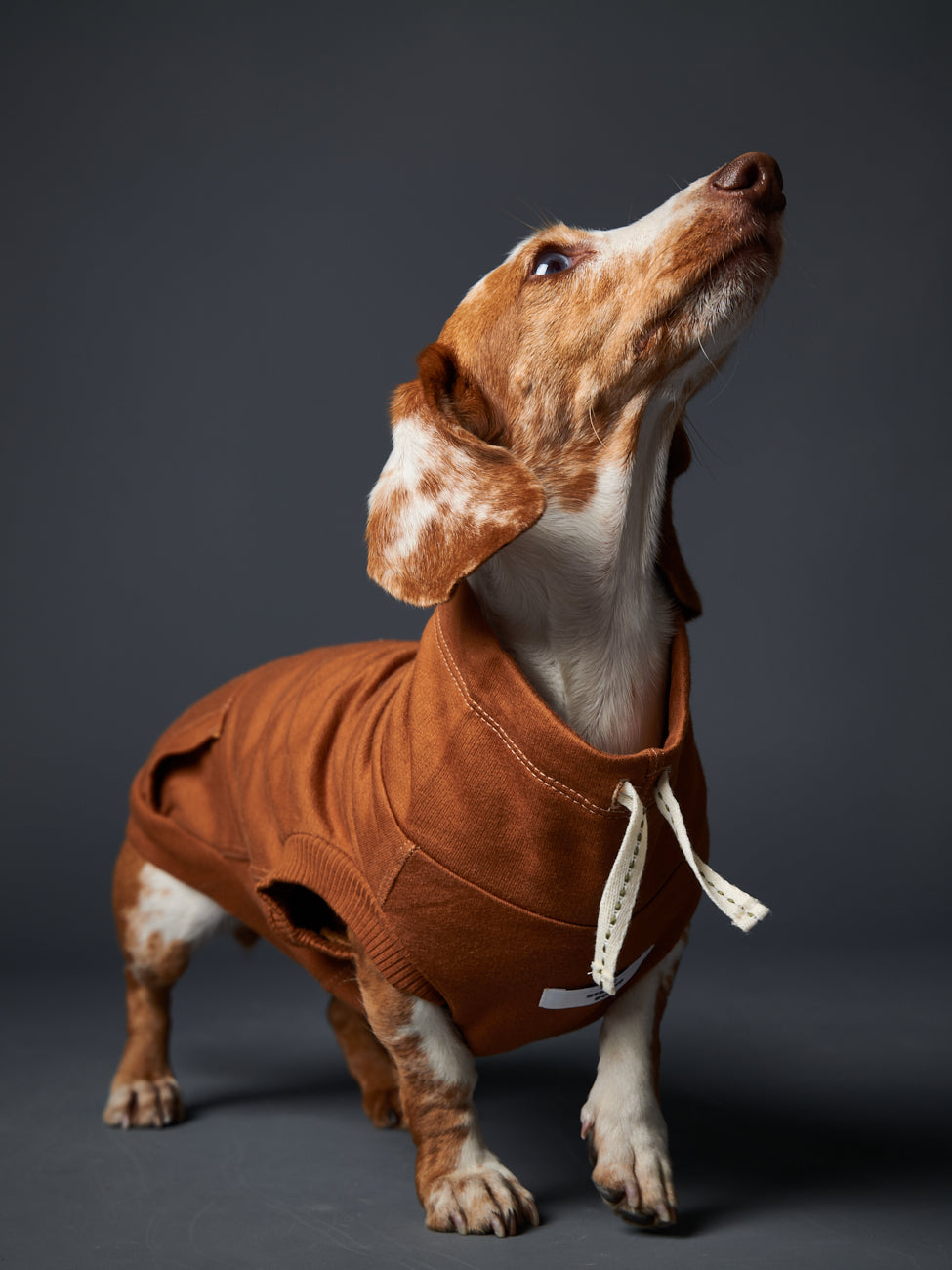 Chaleco Cuello Tortuga Terracota MELROSE