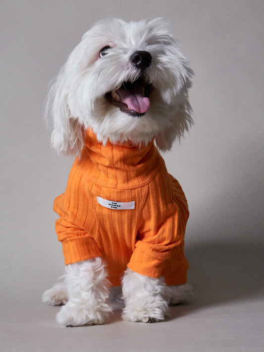 Sueter Naranja Cuello Tortuga en Rib PRISMA