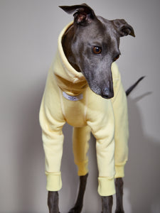 Enterizo Amarillo Cuello Tortuga - Galgo Italiano / Whippet RIVERSIDE