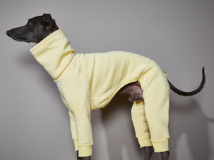 Enterizo Amarillo Cuello Tortuga - Galgo Italiano / Whippet RIVERSIDE