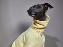 Cargar imagen en el visor de la galería, Enterizo Amarillo Cuello Tortuga - Galgo Italiano / Whippet RIVERSIDE
