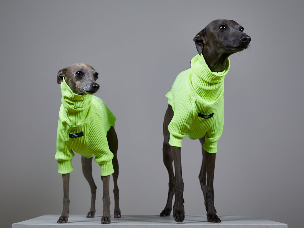 Sueter Verde Neon Cuello Tortuga en Rib - Galgo Italiano / Whippet NEON