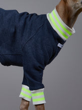 Cargar imagen en el visor de la galería, Sueter Azul Jaspe con Cuello y Puños a Rayas Beige y Verde Neon - Galgo Italiano / Whippet INDIGO
