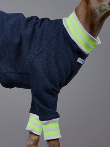 Sueter Azul Jaspe con Cuello y Puños a Rayas Beige y Verde Neon - Galgo Italiano / Whippet INDIGO