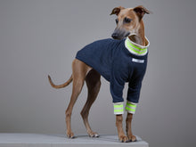 Cargar imagen en el visor de la galería, Sueter Azul Jaspe con Cuello y Puños a Rayas Beige y Verde Neon - Galgo Italiano / Whippet INDIGO
